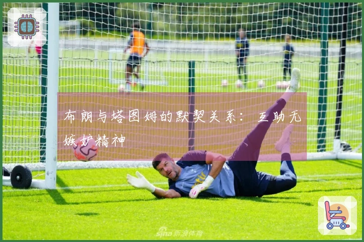布朗与塔图姆的默契关系：互助无嫉妒精神