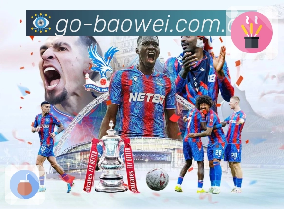 站内搜索认证展示